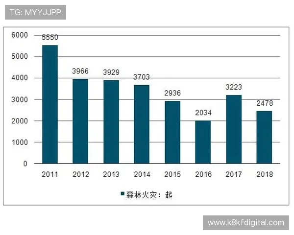 凯发骰宝历史发展与未来趋势分析助你把握行业发展方向